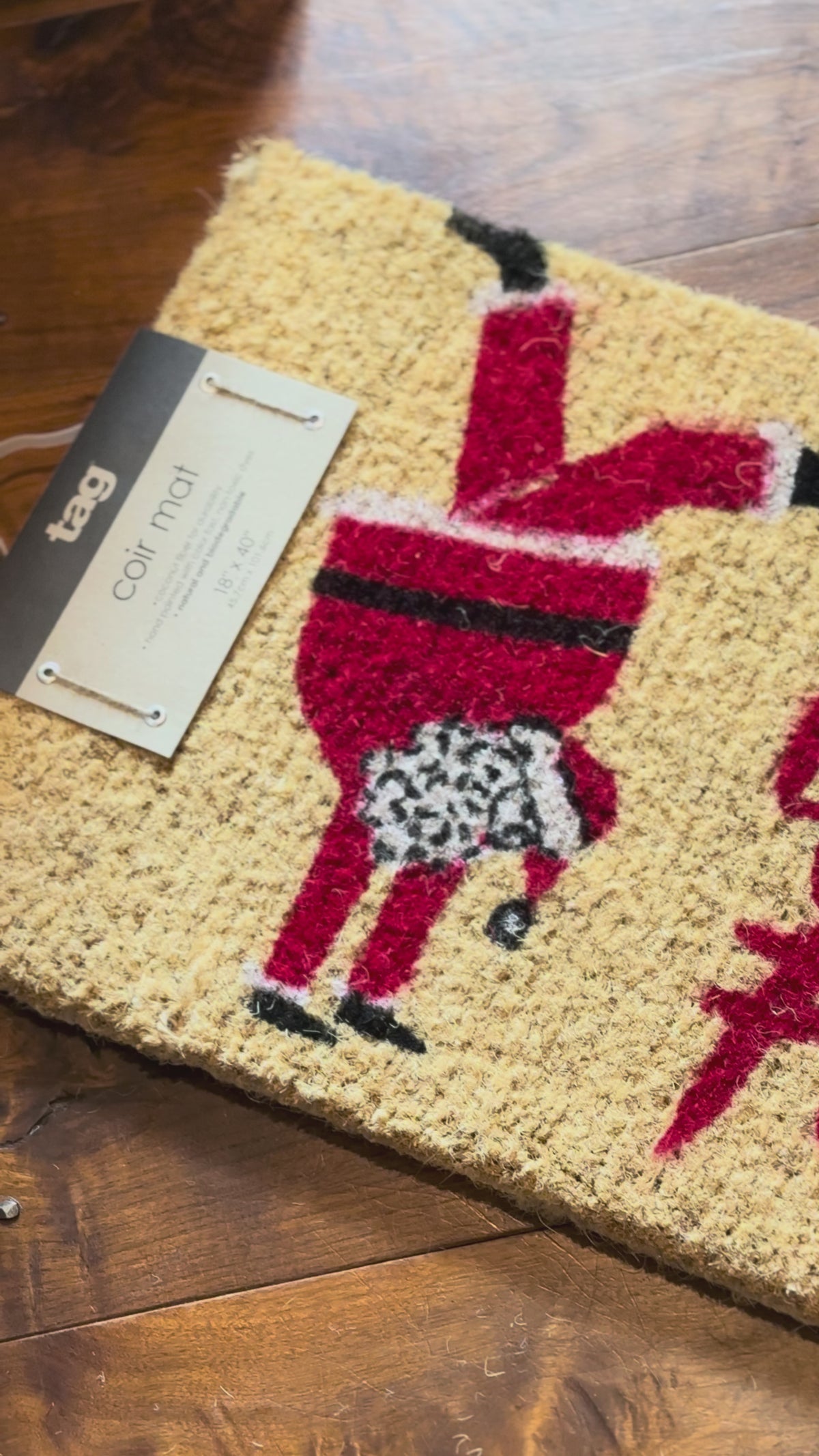 Oh What Fun Santa Est Coir Mat Multi Christmas